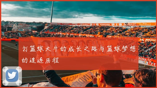 打篮球大牛的成长之路与篮球梦想的追逐历程