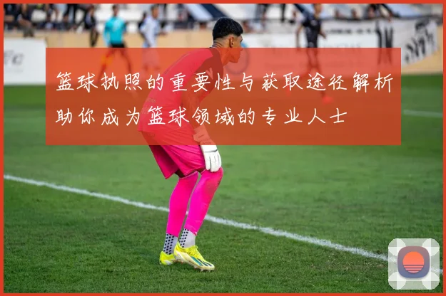 篮球执照的重要性与获取途径解析助你成为篮球领域的专业人士