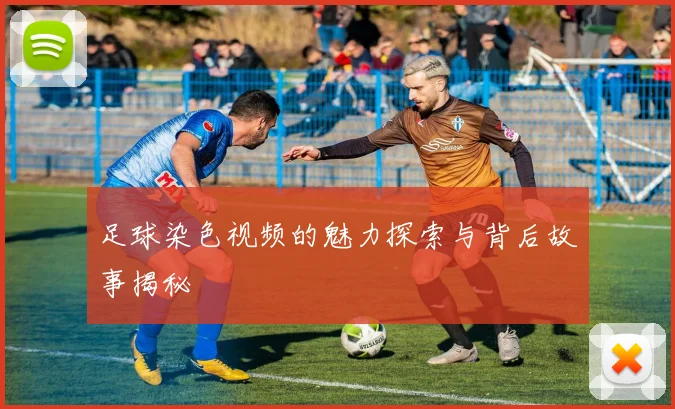 足球染色视频的魅力探索与背后故事揭秘